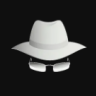 WHITE HAT HACKER